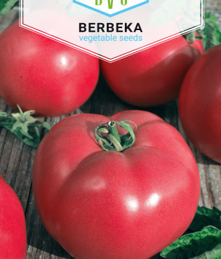 Pomidor malinowy BER 1g